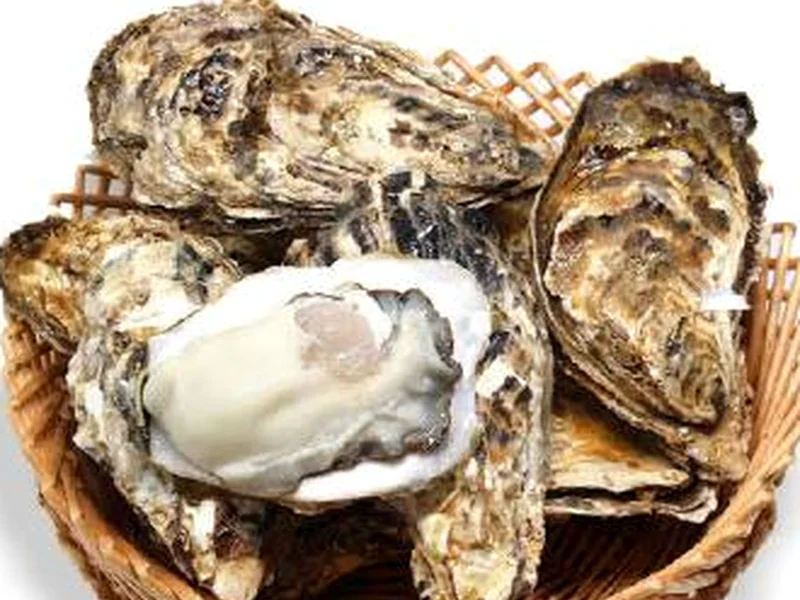 生蚝 / Oyster