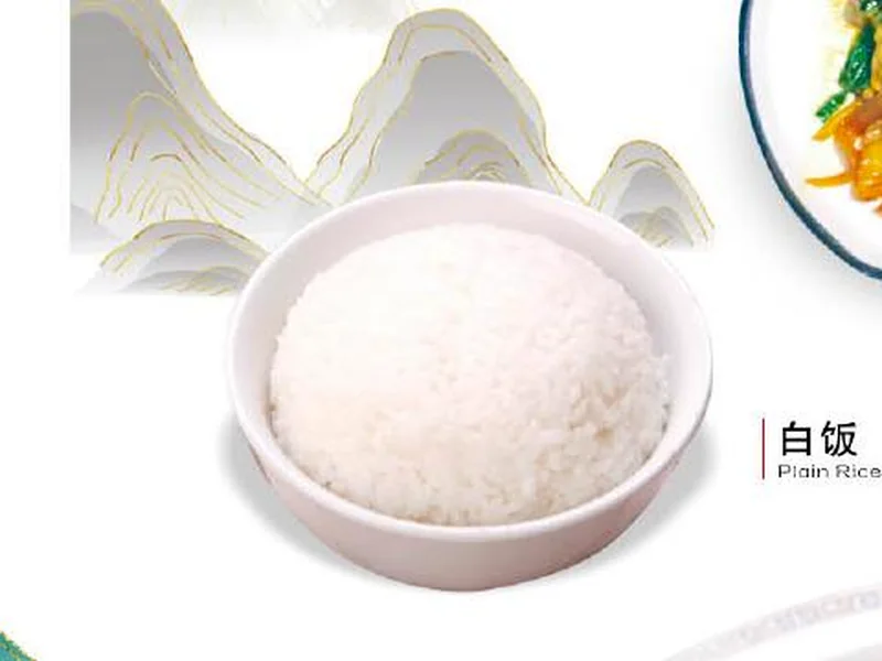 白饭 / Plain Rice